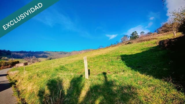 Undeveloped Land for sale in El Franco - € 69,000 (Ref: 9173599)