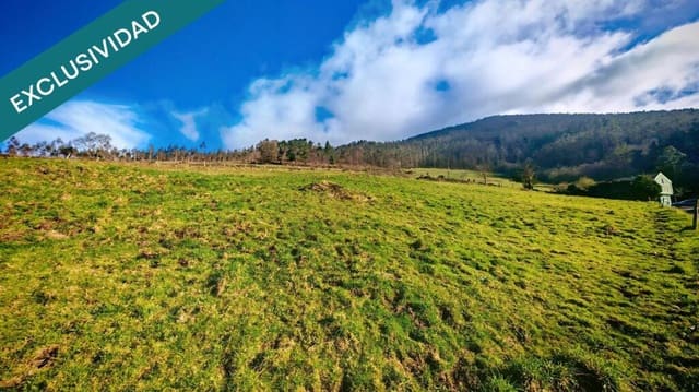 Undeveloped Land for sale in El Franco - € 69,000 (Ref: 9173599)