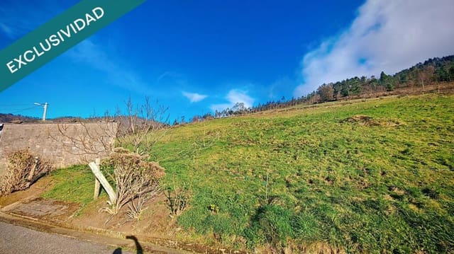 Undeveloped Land for sale in El Franco - € 69,000 (Ref: 9173599)