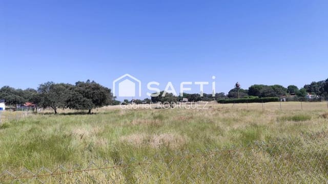 Undeveloped Land for sale in Pedanías, Badajoz city - € 43,000 (Ref: 9173662)