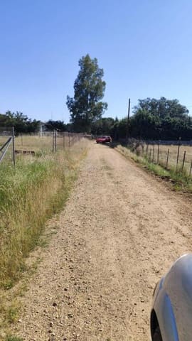 Undeveloped Land for sale in Pedanías, Badajoz city - € 43,000 (Ref: 9173662)