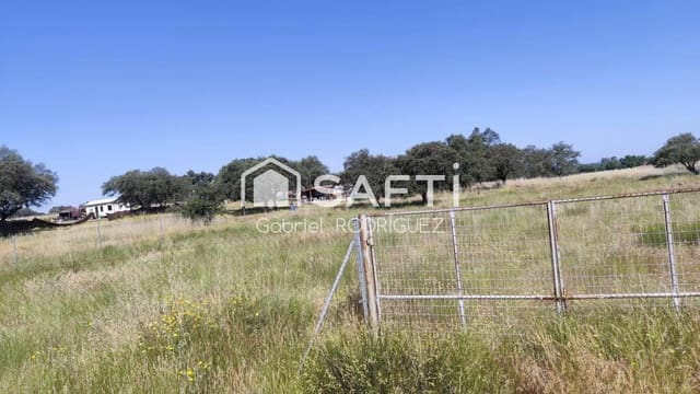 Undeveloped Land for sale in Pedanías, Badajoz city - € 43,000 (Ref: 9173662)