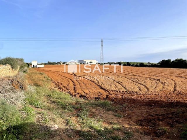 Ubebygd land til salgs i Ciutadella de Menorca - € 288 500 (Ref: 9173683)