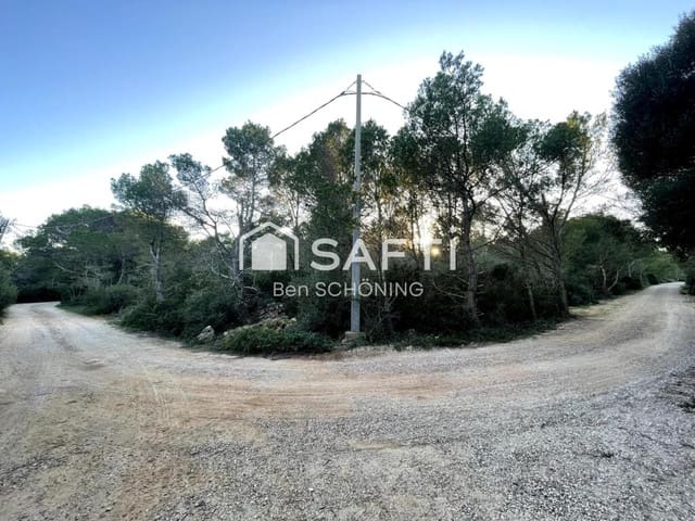 Rakentamaton maa myytävänä paikassa Ciutadella de Menorca - 122 500 € (Ref: 9173685)