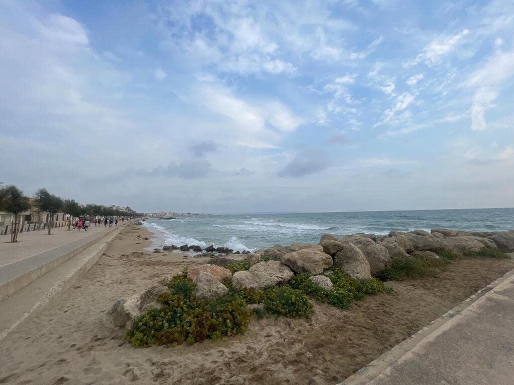 2 sovrum Lägenhet till salu i Palma de Mallorca - 460 000 € (Ref: 9173695)