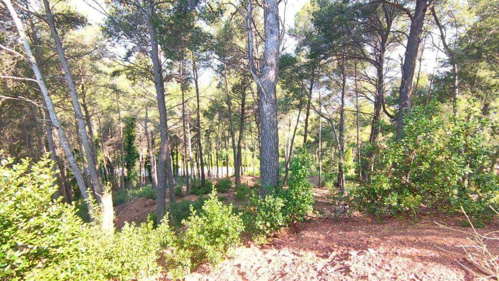 Byggegrund til salg i Cervello - € 160.000 (Ref: 9173746)