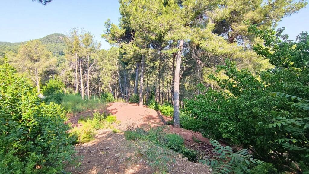 Byggegrund til salg i Cervello - € 160.000 (Ref: 9173746)