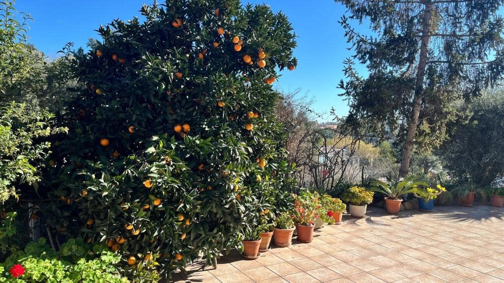 3 bedroom Villa for sale in Riudarenes with garage - € 239,000 (Ref: 9173857)