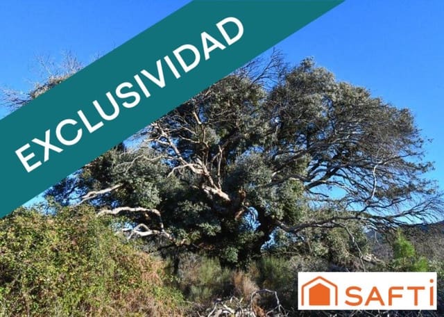 Rakentamaton maa myytävänä paikassa Acebo - 105 000 € (Ref: 9173882)