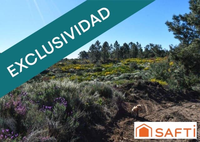 Ubebygd land til salgs i Acebo - € 105 000 (Ref: 9173882)
