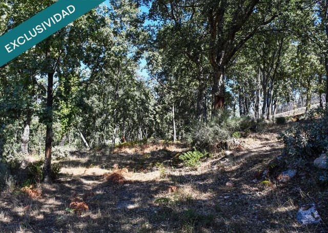 Tontti myytävänä paikassa Acebo - 49 000 € (Ref: 9173883)