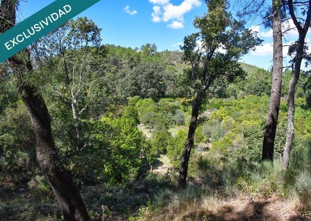 Tontti myytävänä paikassa Acebo - 49 000 € (Ref: 9173883)