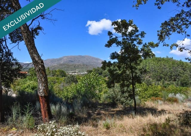 Tontti myytävänä paikassa Acebo - 49 000 € (Ref: 9173883)