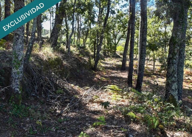 Tontti myytävänä paikassa Acebo - 49 000 € (Ref: 9173883)