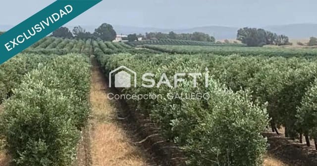 Mark till salu i Campo de Criptana - 11 400 € (Ref: 9173956)