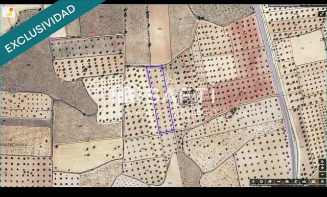 Undeveloped Land for sale in Campo de Criptana - € 11,400 (Ref: 9173956)