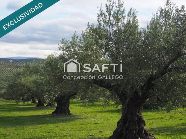Undeveloped Land for sale in Campo de Criptana - € 11,400 (Ref: 9173956)