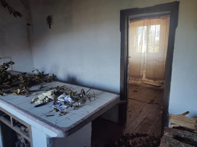 3 sypialnia Finka/Dom wiejski na sprzedaż w Vila de Cruces z garażem - 24 000 € (Ref: 9173993)