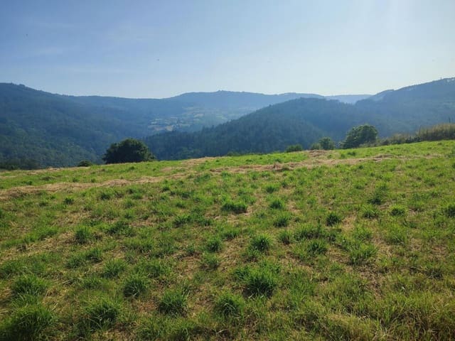 3 sypialnia Finka/Dom wiejski na sprzedaż w Vila de Cruces z garażem - 24 000 € (Ref: 9173993)