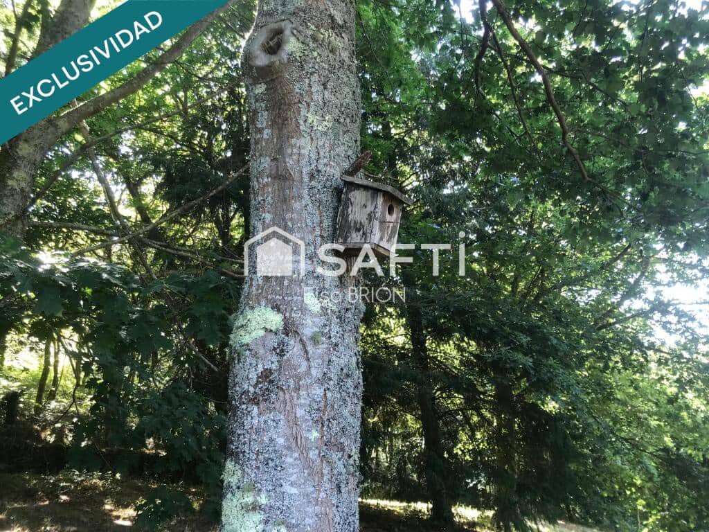 5 bedroom Finca/Country House for sale in Rois with pool - € 370,000 (Ref: 9174024)