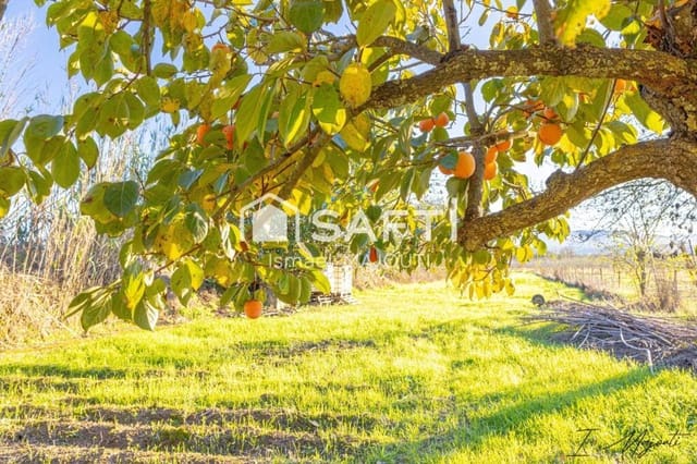 Mark till salu i Cruïlles Monells i Sant Sadurní de I'Heura - 85 000 € (Ref: 9174088)