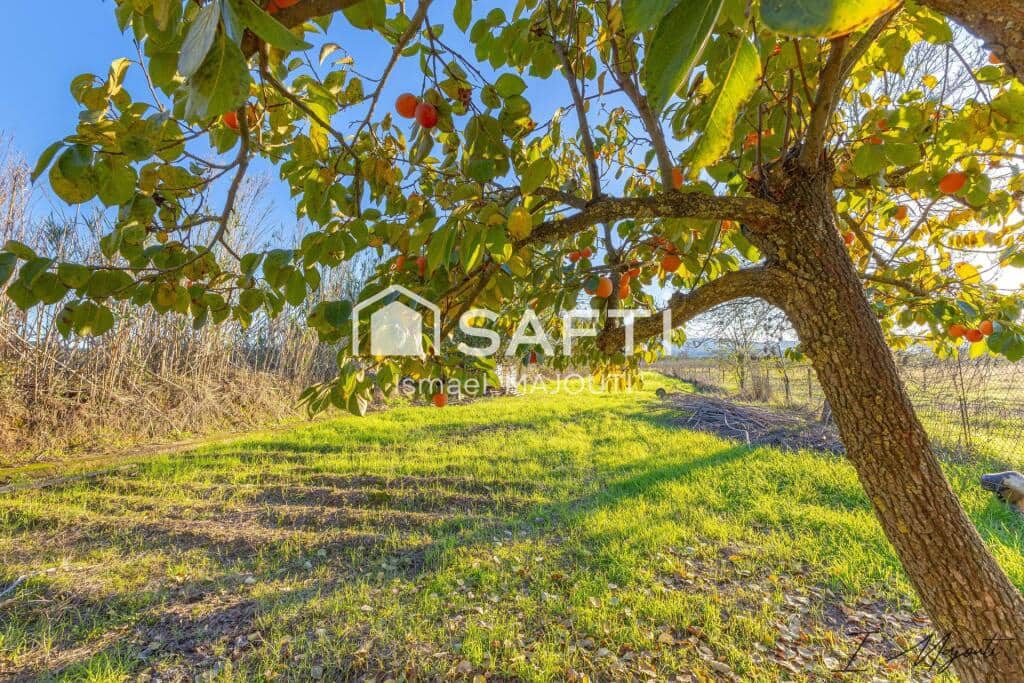 Ubebygd land til salgs i Cruilles Monells i Sant Sadurni de I'Heura - € 85 000 (Ref: 9174088)