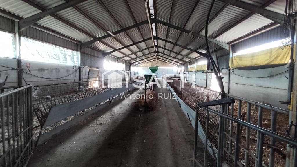 Grunde uden byggetilladelser til salg i Ubeda - € 285.000 (Ref: 9174158)