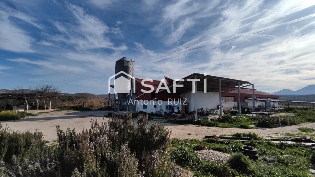 Grunde uden byggetilladelser til salg i Ubeda - € 285.000 (Ref: 9174158)