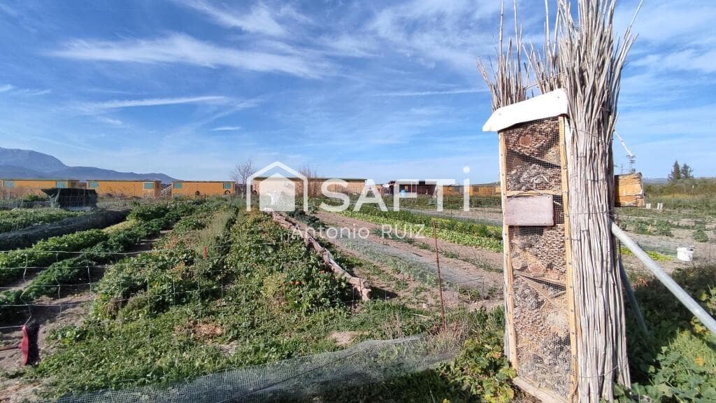 Grunde uden byggetilladelser til salg i Ubeda - € 285.000 (Ref: 9174158)