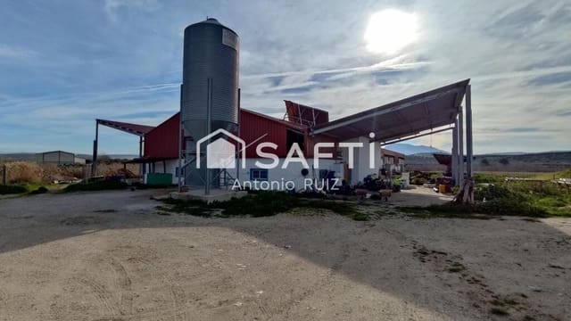 Undeveloped Land for sale in Ubeda - € 285,000 (Ref: 9174158)