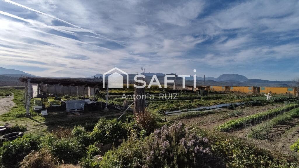 Grunde uden byggetilladelser til salg i Ubeda - € 285.000 (Ref: 9174158)