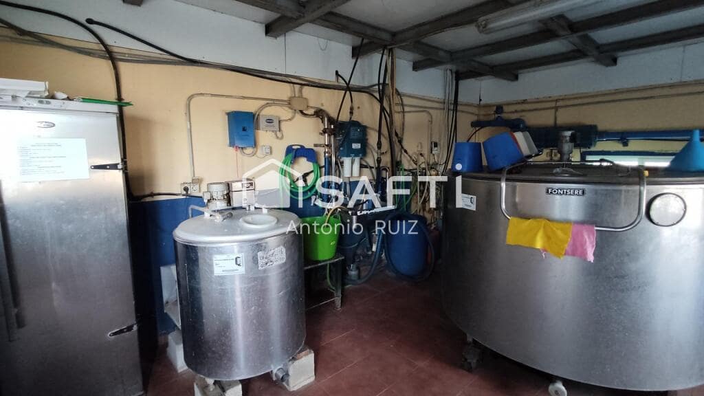 Grunde uden byggetilladelser til salg i Ubeda - € 285.000 (Ref: 9174158)