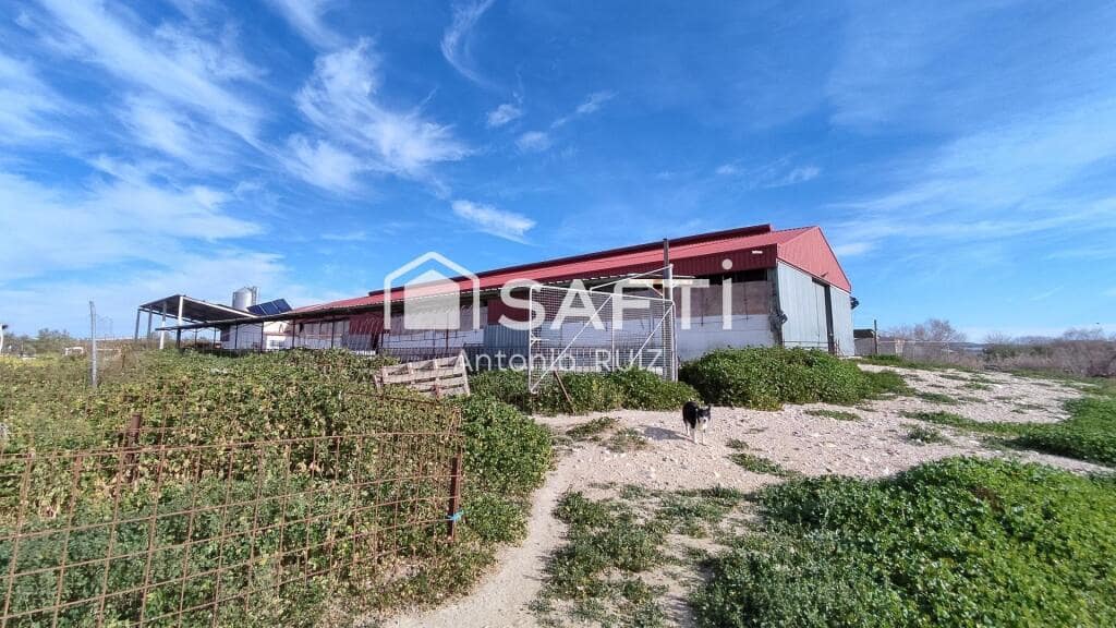 Grunde uden byggetilladelser til salg i Ubeda - € 285.000 (Ref: 9174158)