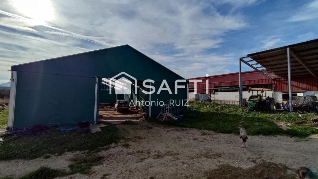 Grunde uden byggetilladelser til salg i Ubeda - € 285.000 (Ref: 9174158)