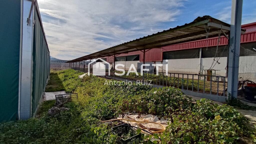 Grunde uden byggetilladelser til salg i Ubeda - € 285.000 (Ref: 9174158)