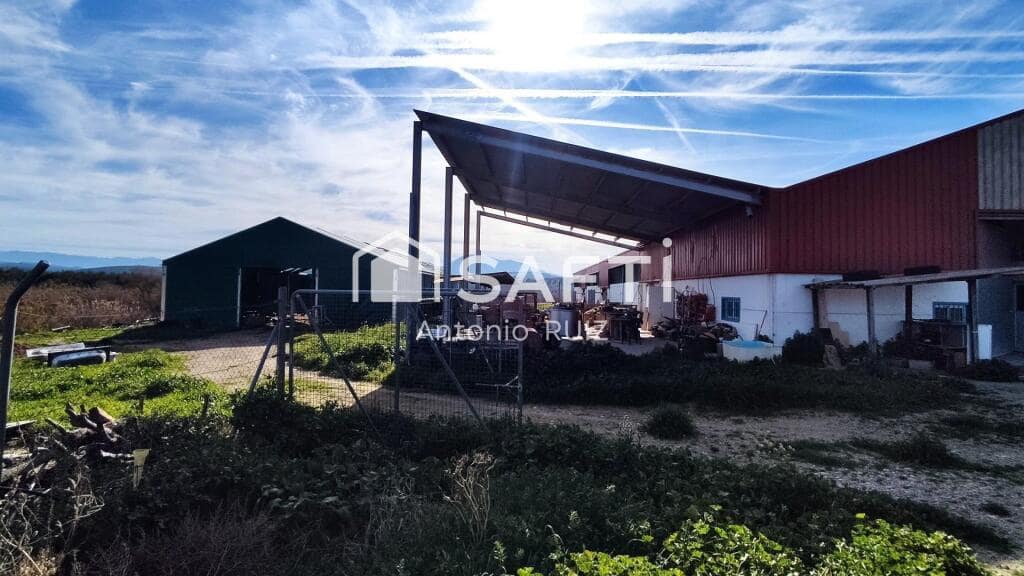 Grunde uden byggetilladelser til salg i Ubeda - € 285.000 (Ref: 9174158)