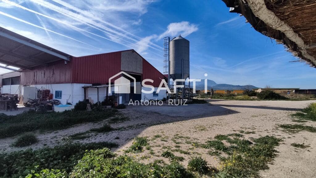 Grunde uden byggetilladelser til salg i Ubeda - € 285.000 (Ref: 9174158)