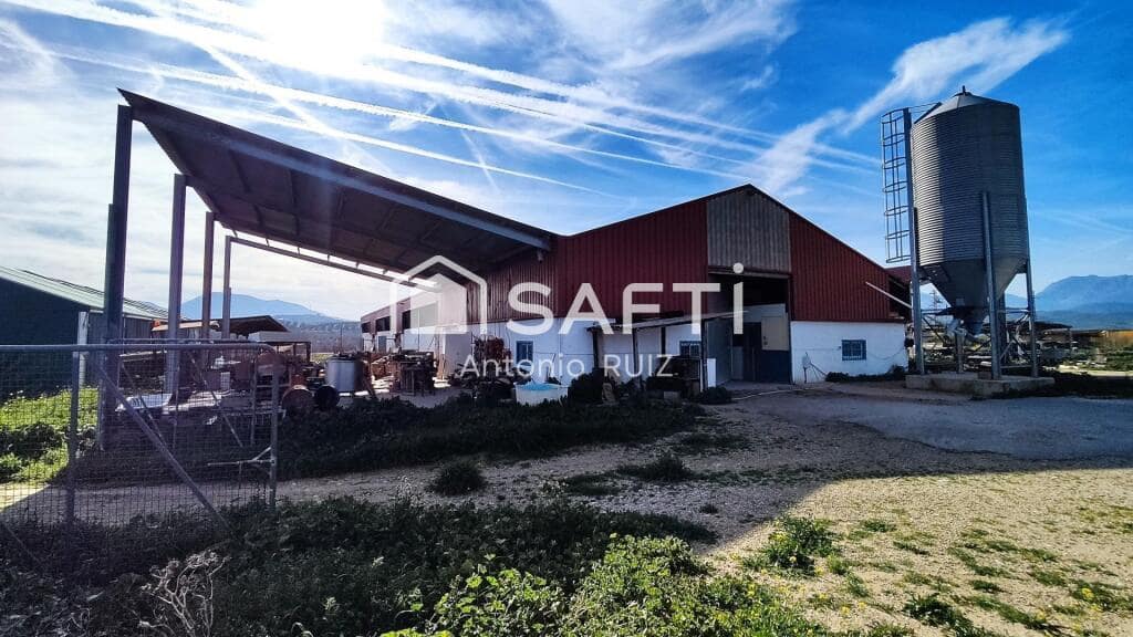 Grunde uden byggetilladelser til salg i Ubeda - € 285.000 (Ref: 9174158)