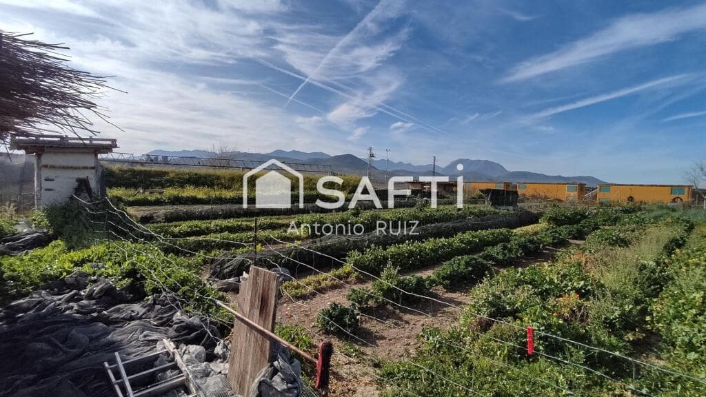 Grunde uden byggetilladelser til salg i Ubeda - € 285.000 (Ref: 9174158)