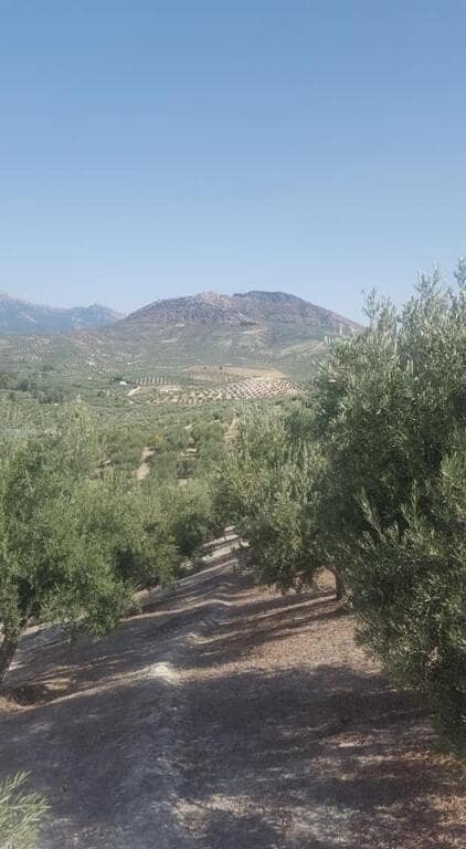 Grunde uden byggetilladelser til salg i Quesada - € 34.000 (Ref: 9174163)