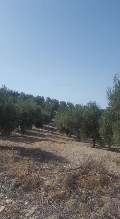 Grunde uden byggetilladelser til salg i Quesada - € 34.000 (Ref: 9174163)