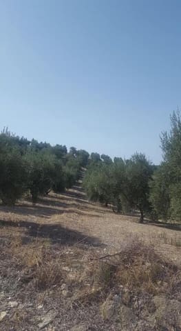 Grunde uden byggetilladelser til salg i Quesada - € 34.000 (Ref: 9174163)