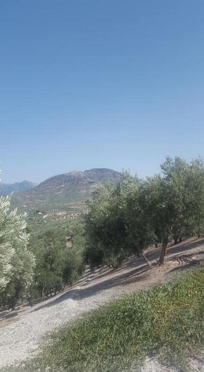 Grunde uden byggetilladelser til salg i Quesada - € 34.000 (Ref: 9174163)