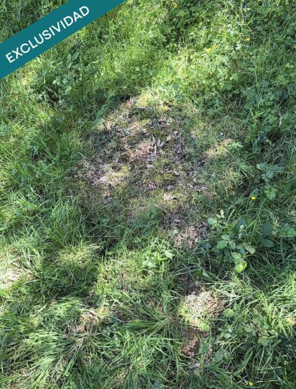 Bouwgrond te koop in Naron - € 100.000 (Ref: 9174224)