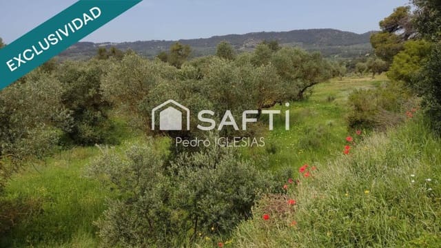 Grunde uden byggetilladelser til salg i Vinaixa - € 22.500 (Ref: 9174230)