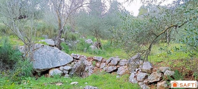 Ubebygd land til salgs i Benaoján - € 36 000 (Ref: 9174238)