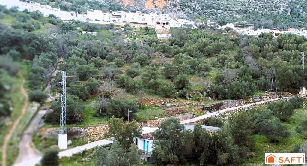 Grunde uden byggetilladelser til salg i Benaojan - € 36.000 (Ref: 9174238)