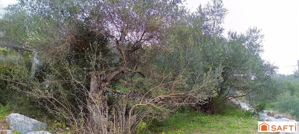 Grunde uden byggetilladelser til salg i Benaojan - € 36.000 (Ref: 9174238)