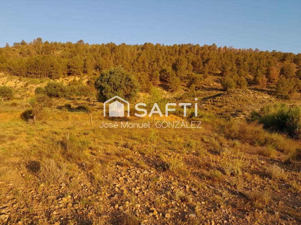 Ubebygd land til salgs i Cehegin - € 29 400 (Ref: 9174254)