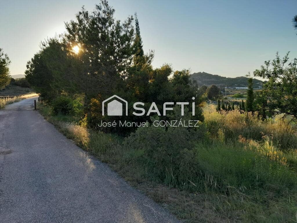 Ubebygd land til salgs i Cehegin - € 29 400 (Ref: 9174254)